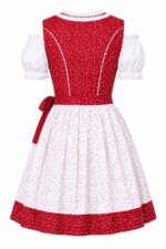 Liza Koshy Dirndl Dress