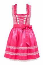 Taylor Swift Dirndl Dress